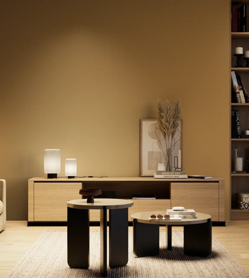 P10_SNIEZKA_salon_04_cieple_GREY_S4040-Y20R