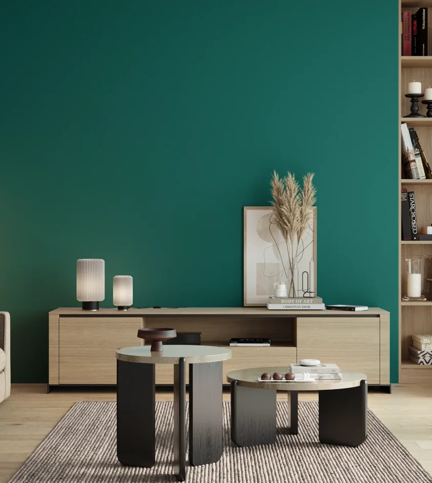 P10_SNIEZKA_salon_00_neutral_GREY_S4050-B50G