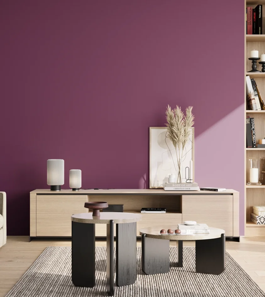 P10_SNIEZKA_salon_02_poludnie_GREY_S4050-R40B