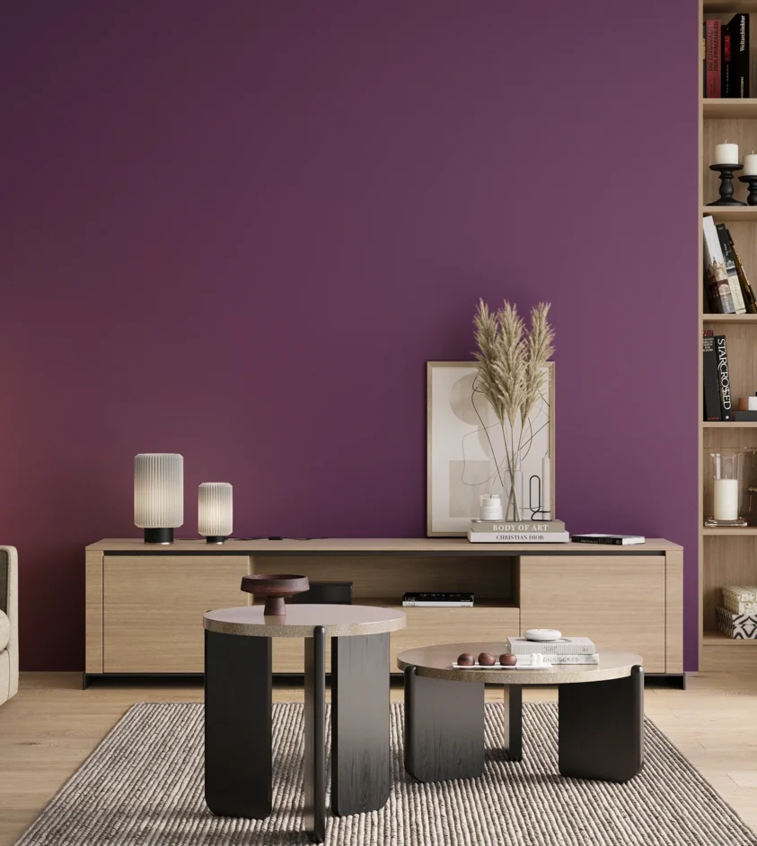 P10_SNIEZKA_salon_00_neutral_GREY_S4050-R50B