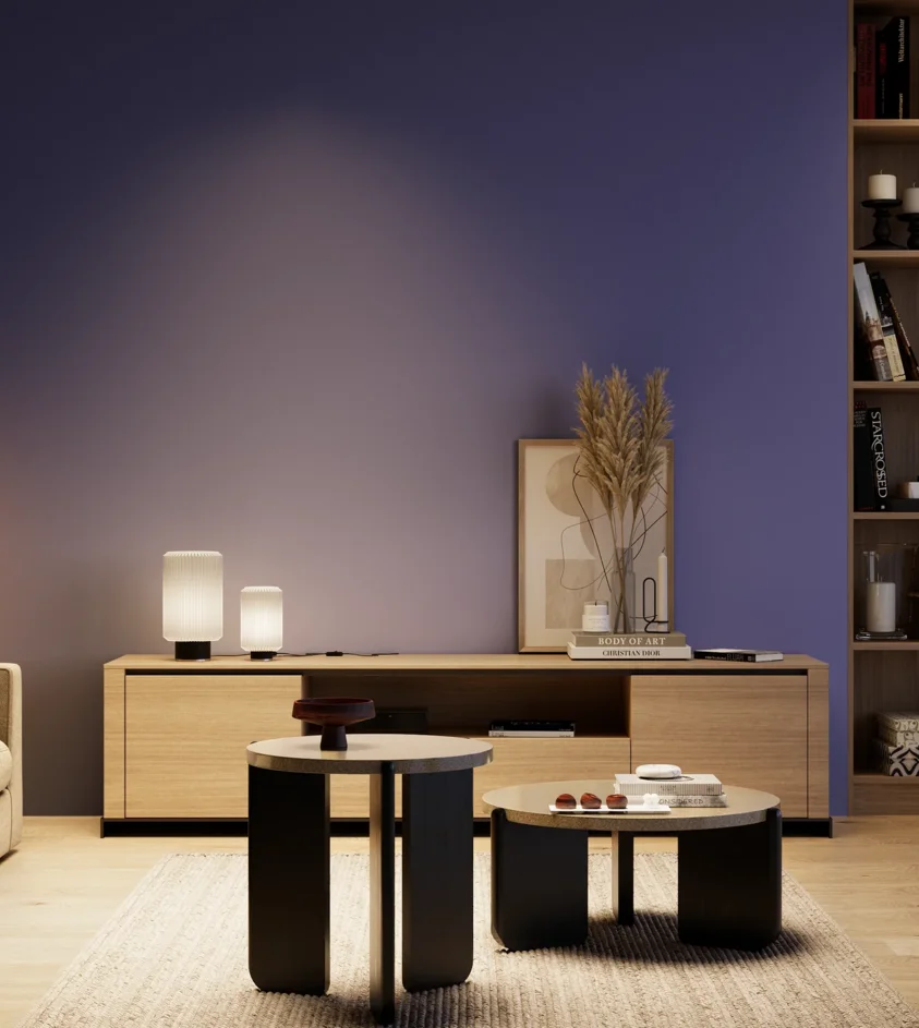 P10_SNIEZKA_salon_04_cieple_GREY_S4050-R70B