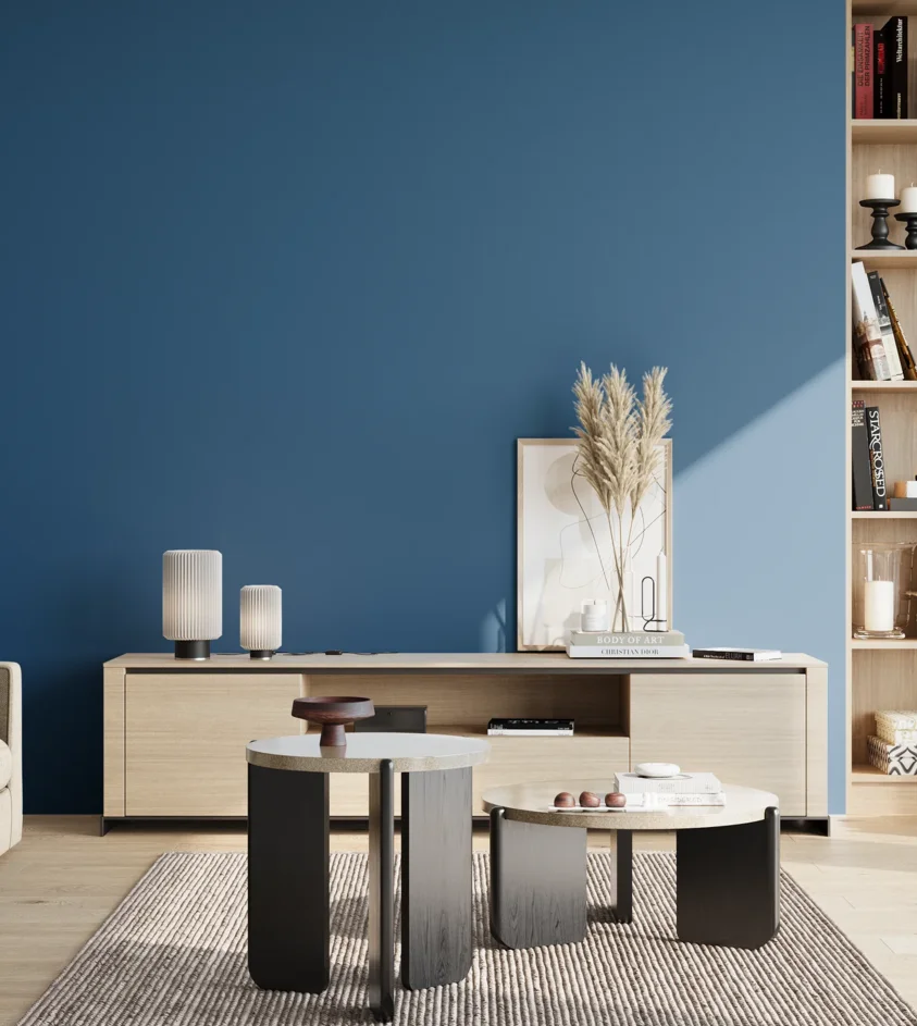 P10_SNIEZKA_salon_02_poludnie_GREY_S4050-R90B