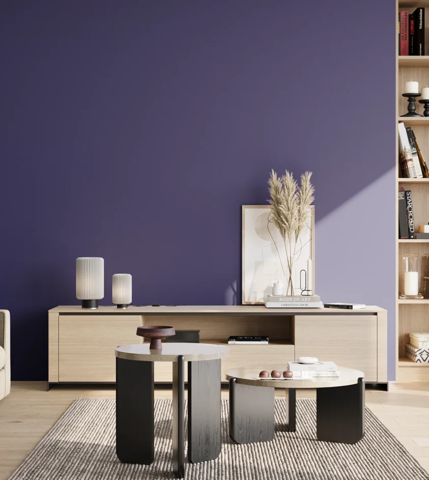 P10_SNIEZKA_salon_02_poludnie_GREY_S4550-R70B