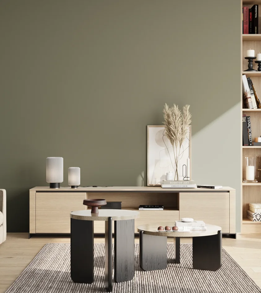 P10_SNIEZKA_salon_02_poludnie_GREY_S5010-G50Y