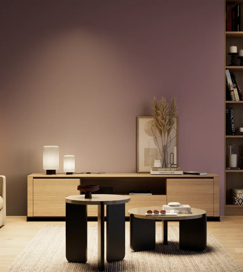 P10_SNIEZKA_salon_04_cieple_GREY_S5020-R30B