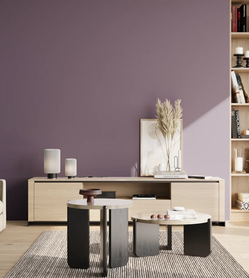 P10_SNIEZKA_salon_02_poludnie_GREY_S5020-R50B