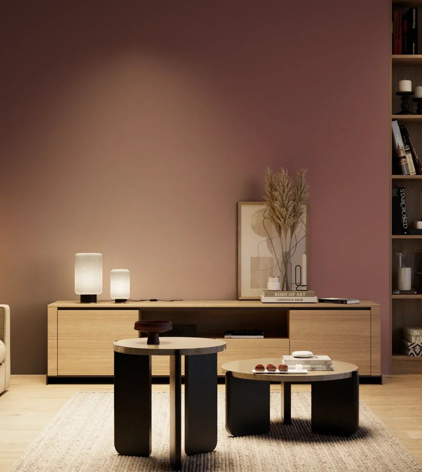 P10_SNIEZKA_salon_04_cieple_GREY_S5030-R10B