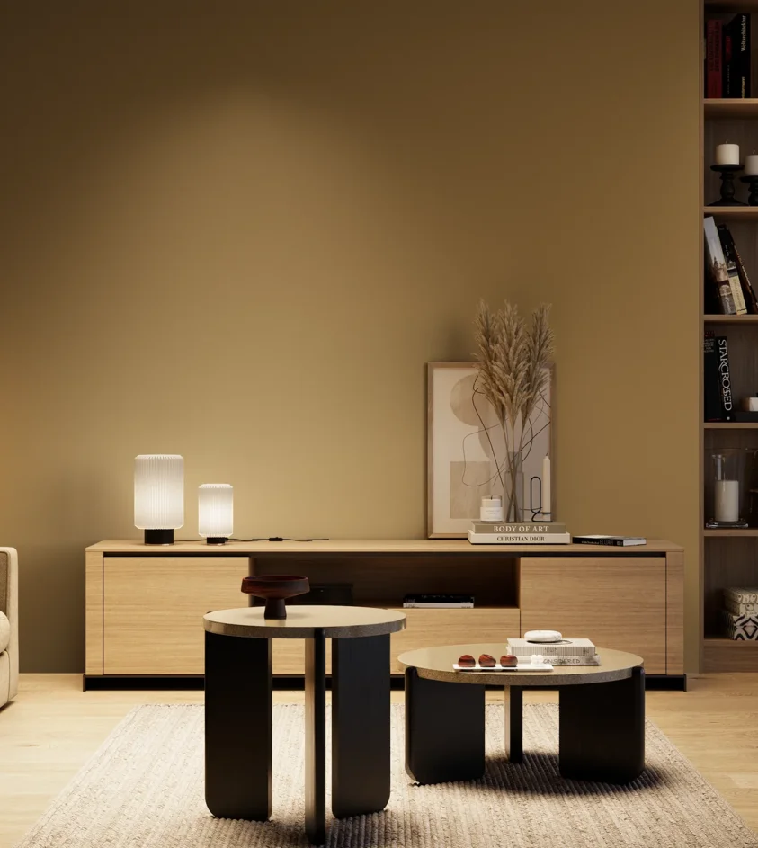 P10_SNIEZKA_salon_04_cieple_GREY_S5030-Y10R