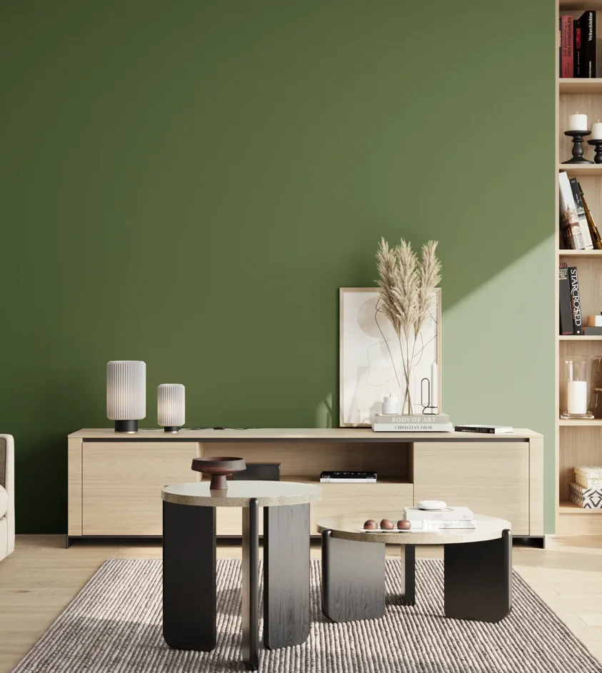 P10_SNIEZKA_salon_02_poludnie_GREY_S5040-G30Y