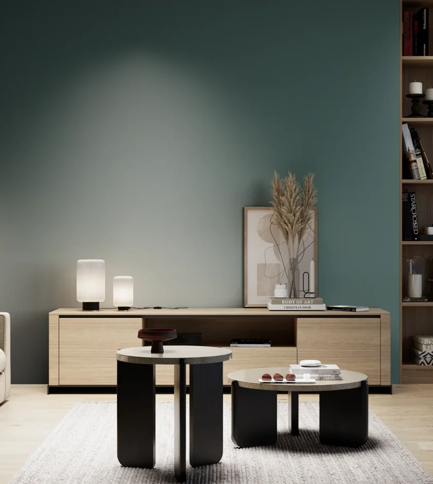 P10_SNIEZKA_salon_05_zimne_GREY_S6020-B50G