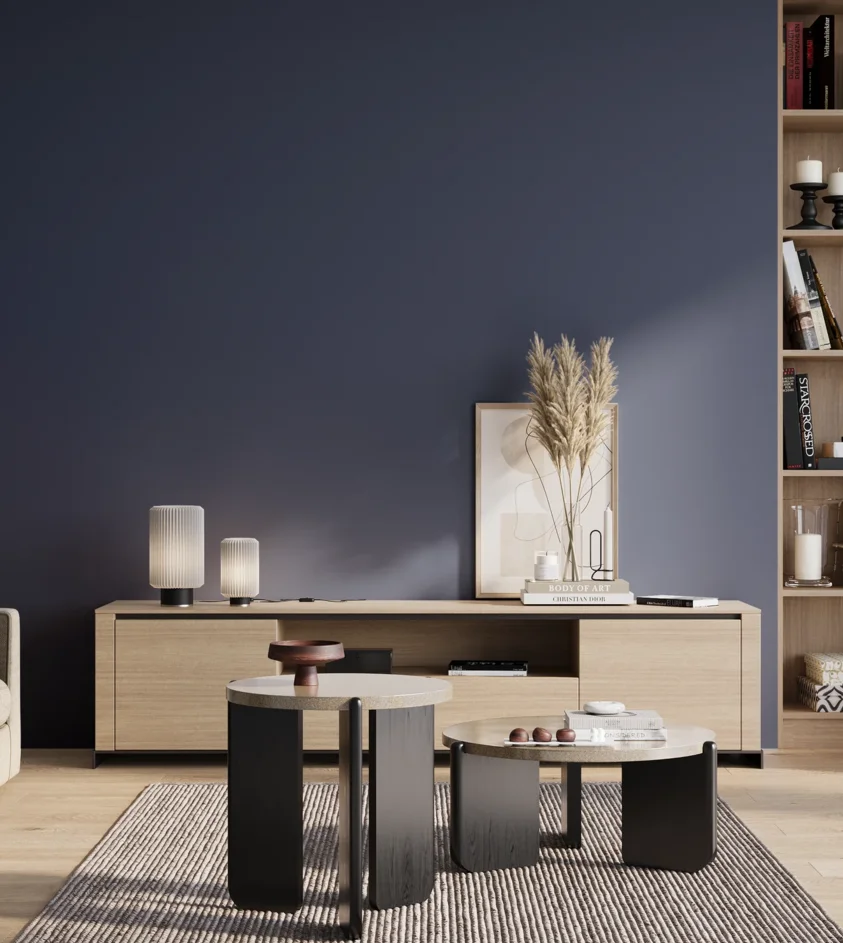 P10_SNIEZKA_salon_01_poranek_GREY_S6030-R80B