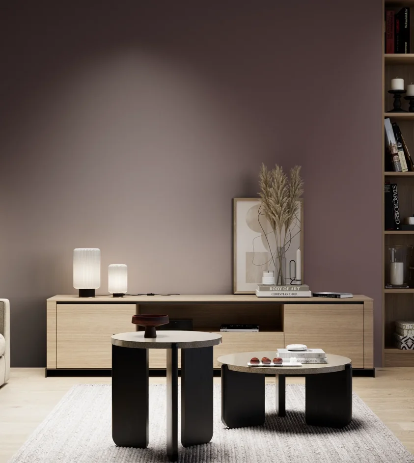 P10_SNIEZKA_salon_05_zimne_GREY_S7010-R10B