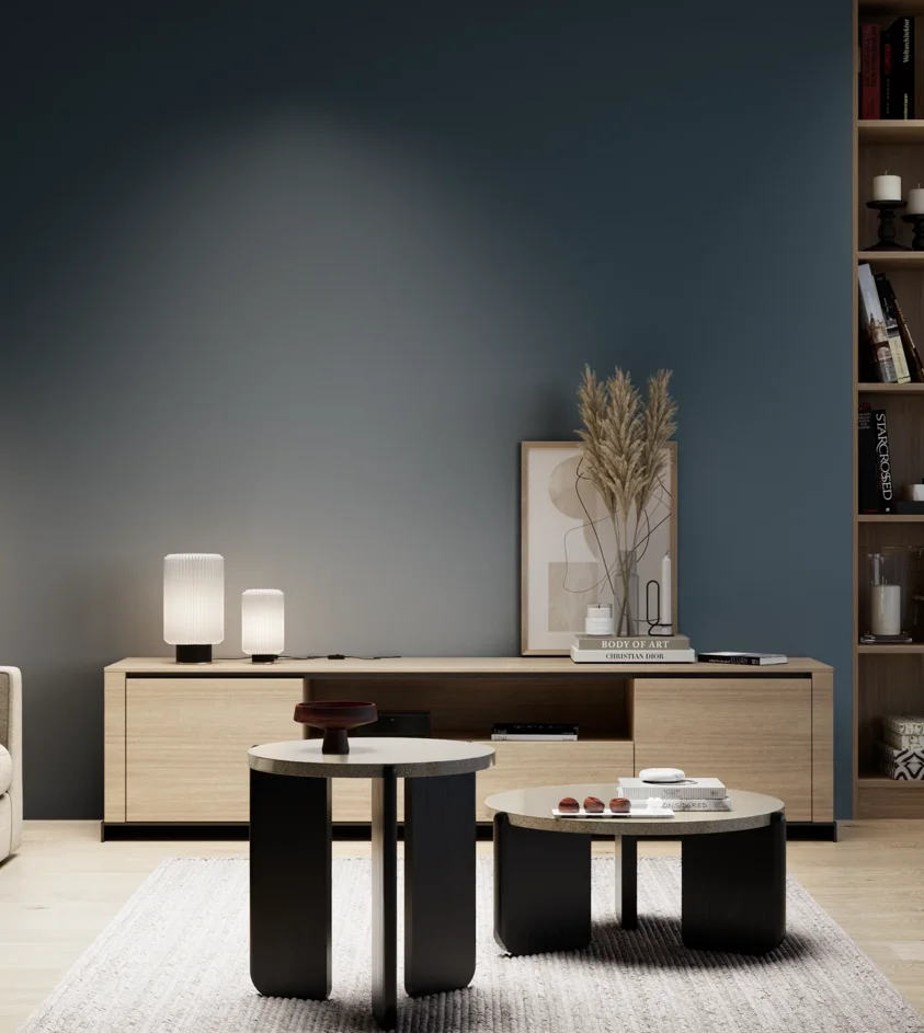 P10_SNIEZKA_salon_05_zimne_GREY_S7020-B