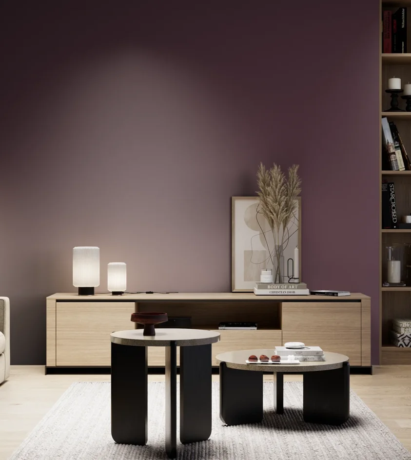 P10_SNIEZKA_salon_05_zimne_GREY_S7020-R30B