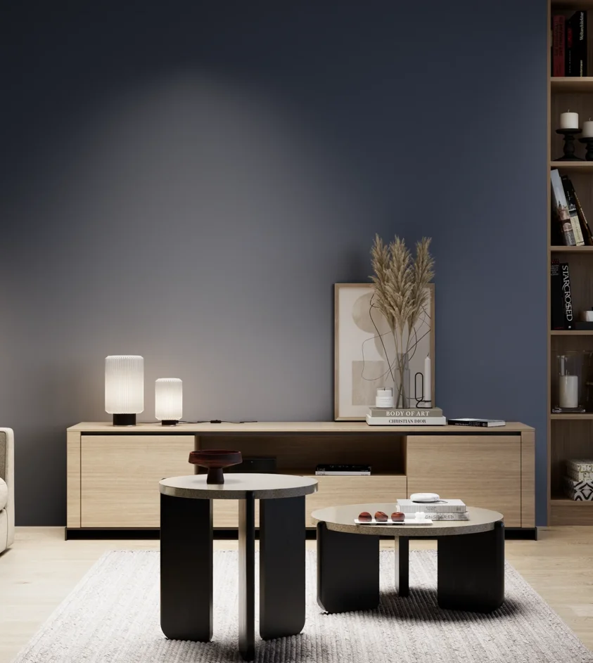 P10_SNIEZKA_salon_05_zimne_GREY_S7020-R80B