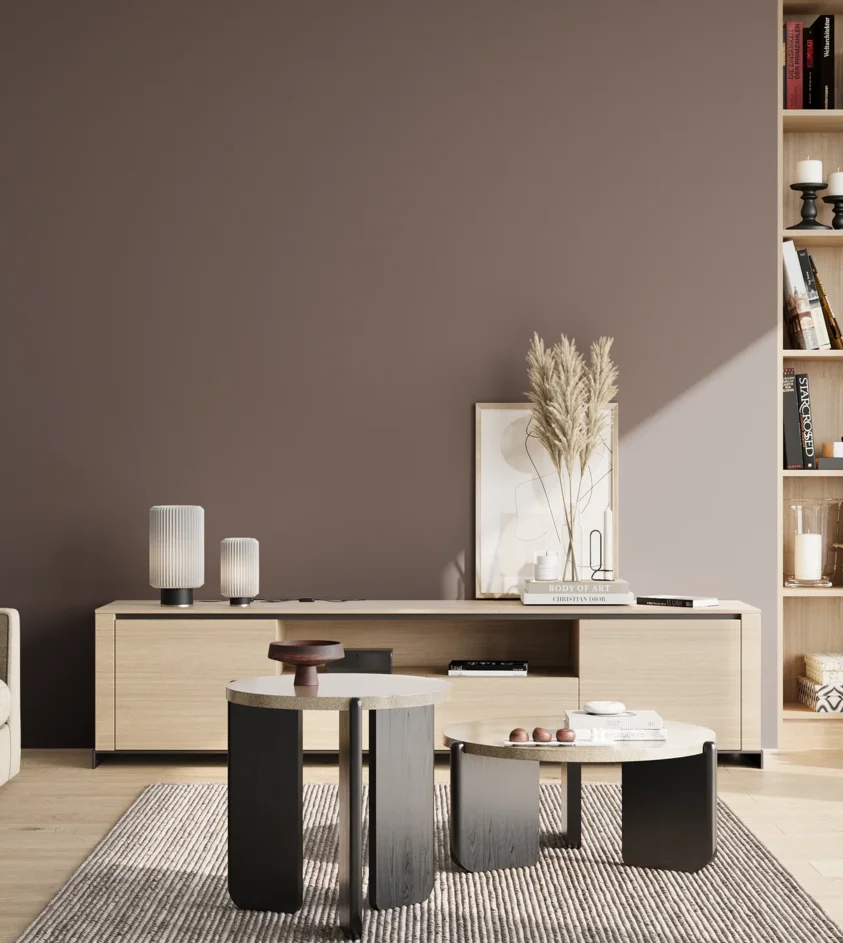 P10_SNIEZKA_salon_02_poludnie_GREY_S6005-R