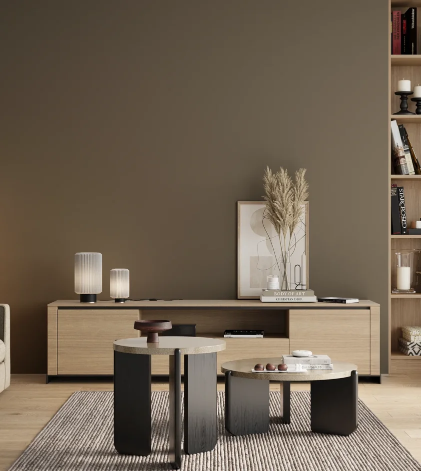 P10_SNIEZKA_salon_00_neutral_GREY_S6005-Y
