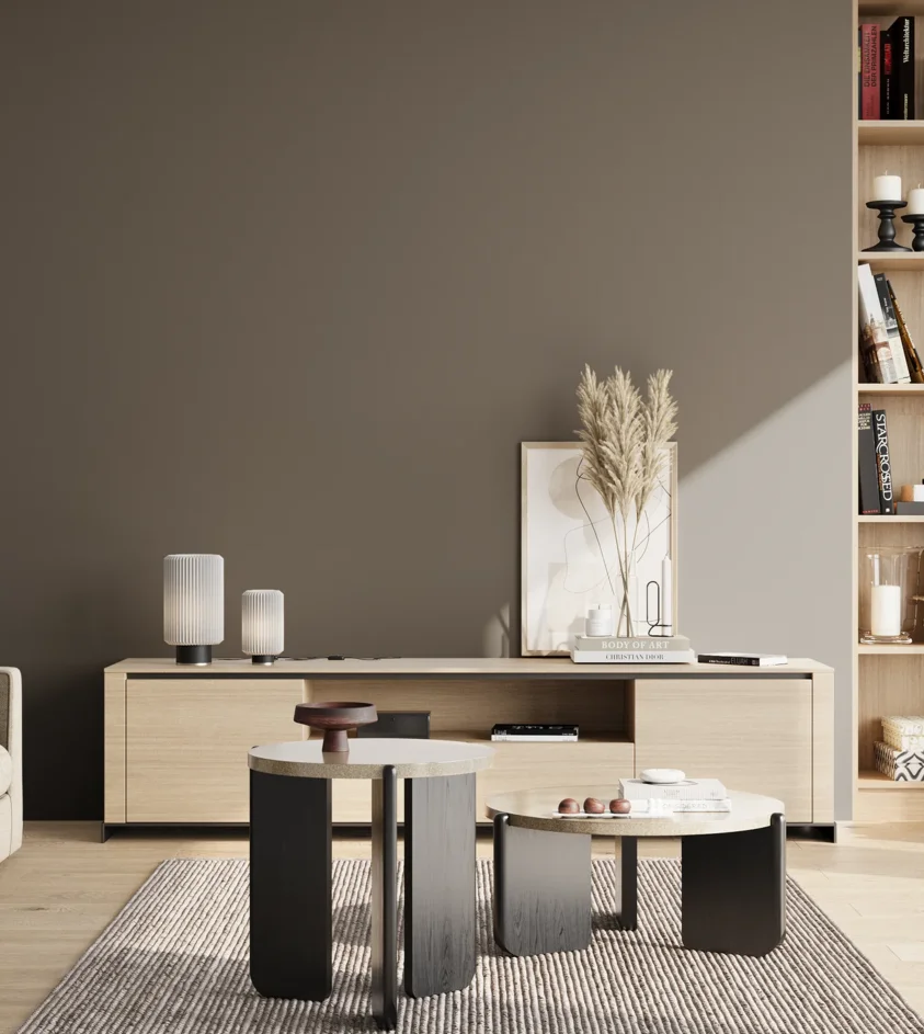 P10_SNIEZKA_salon_02_poludnie_GREY_S6502-Y20R