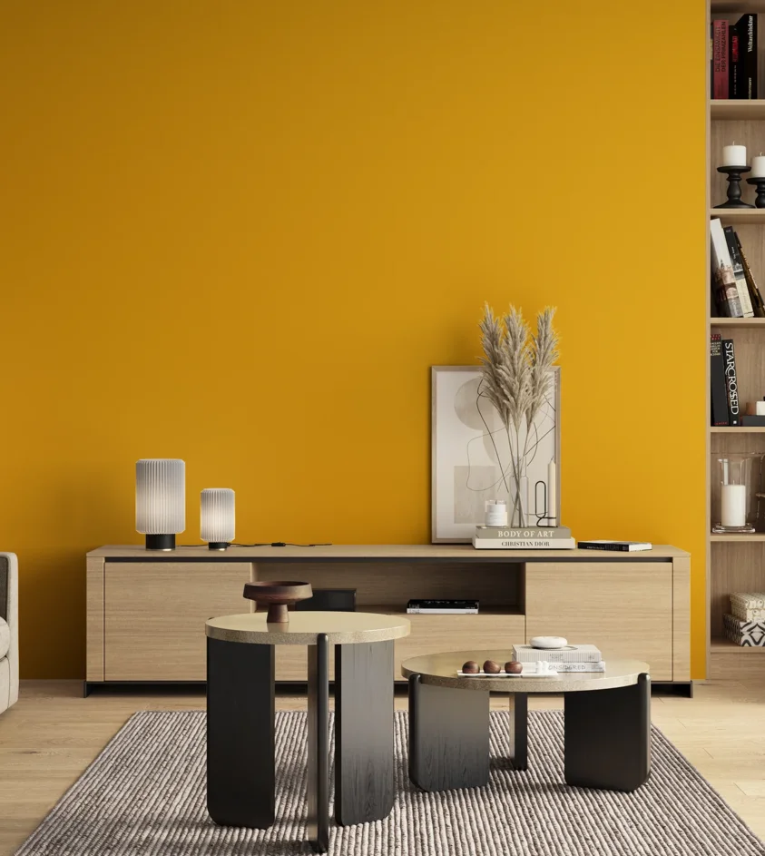 P10_SNIEZKA_salon_00_neutral_GREY_RAL1021