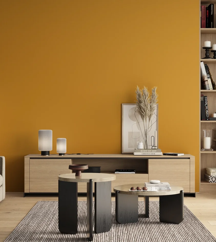 P10_SNIEZKA_salon_00_neutral_GREY_RAL1032