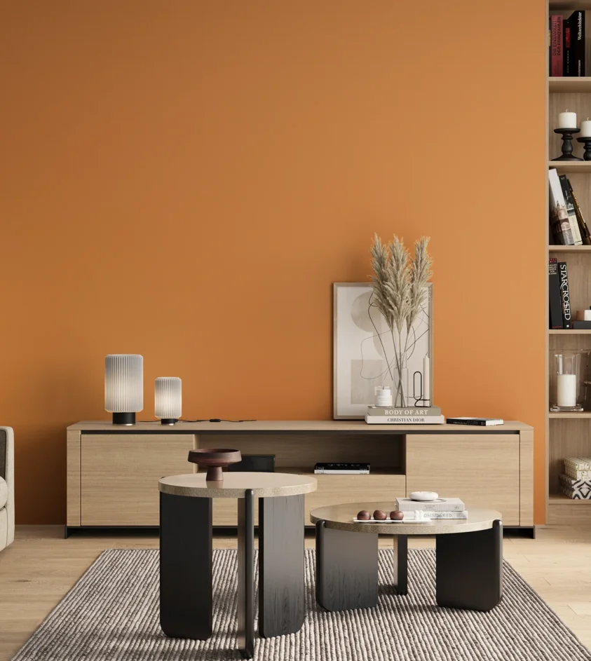 P10_SNIEZKA_salon_00_neutral_GREY_RAL1034