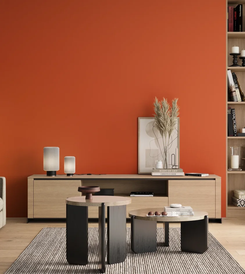 P10_SNIEZKA_salon_00_neutral_GREY_RAL2004