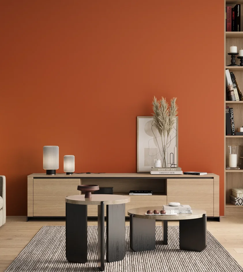 P10_SNIEZKA_salon_00_neutral_GREY_RAL2010