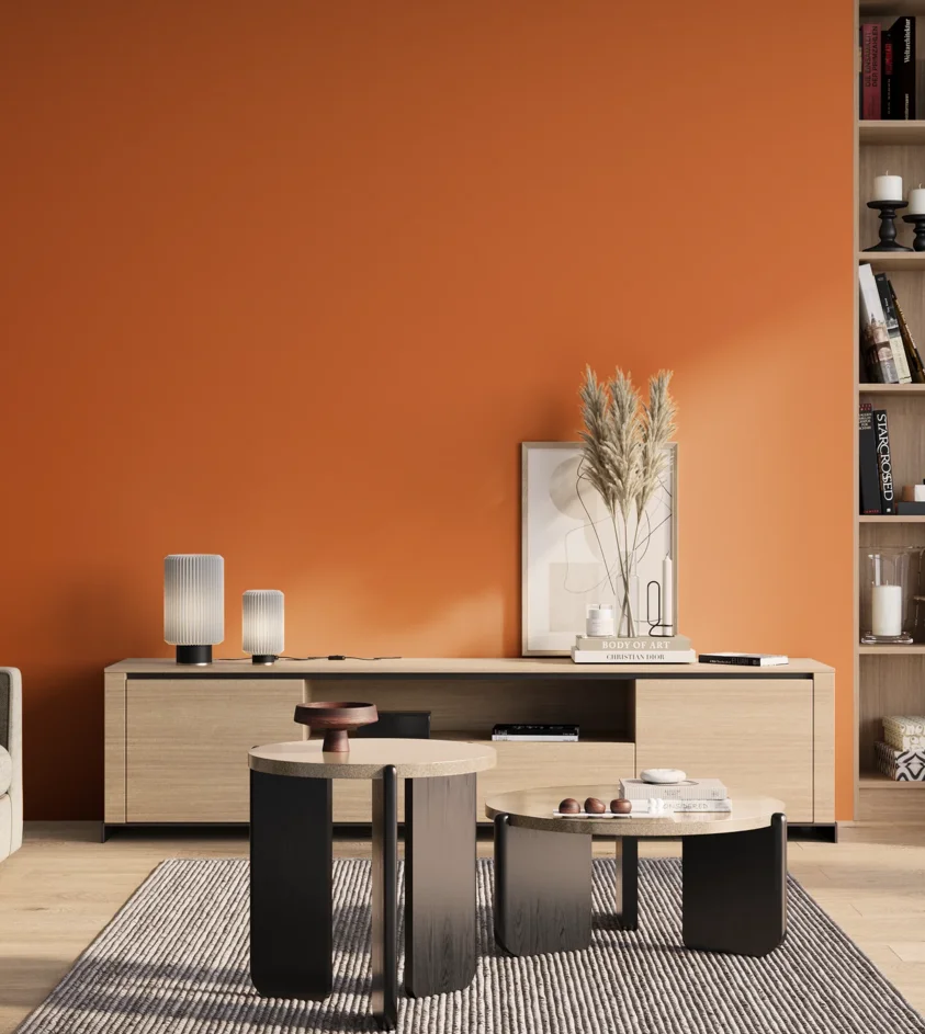 P10_SNIEZKA_salon_01_poranek_GREY_RAL2011