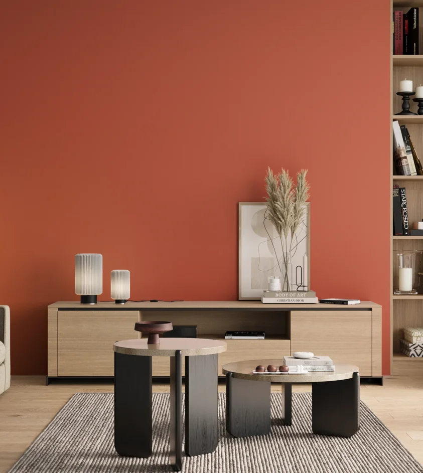 P10_SNIEZKA_salon_00_neutral_GREY_RAL2012