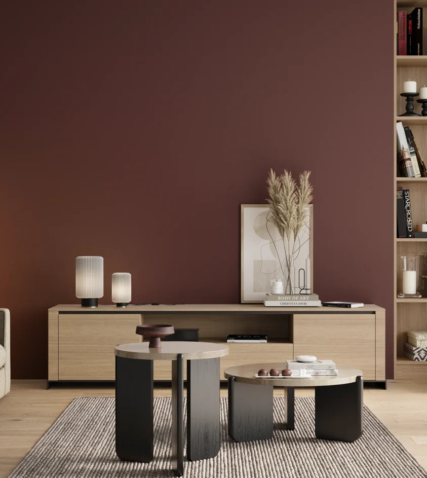 P10_SNIEZKA_salon_00_neutral_GREY_RAL3005