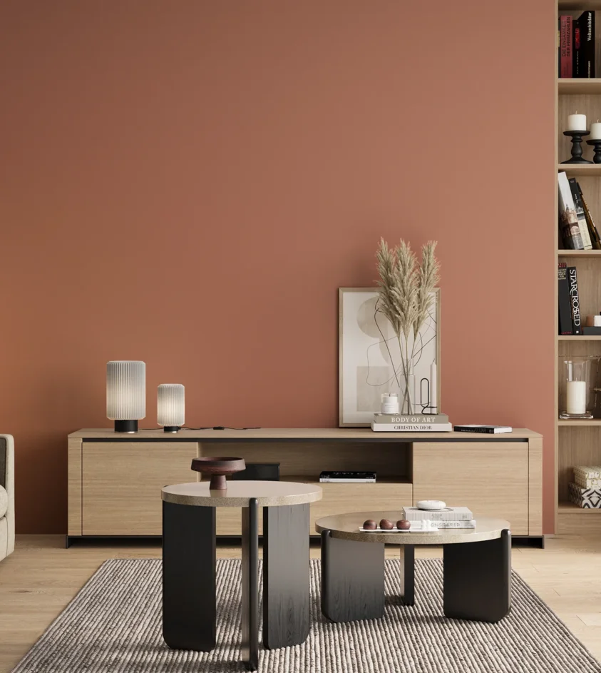 P10_SNIEZKA_salon_00_neutral_GREY_RAL3012
