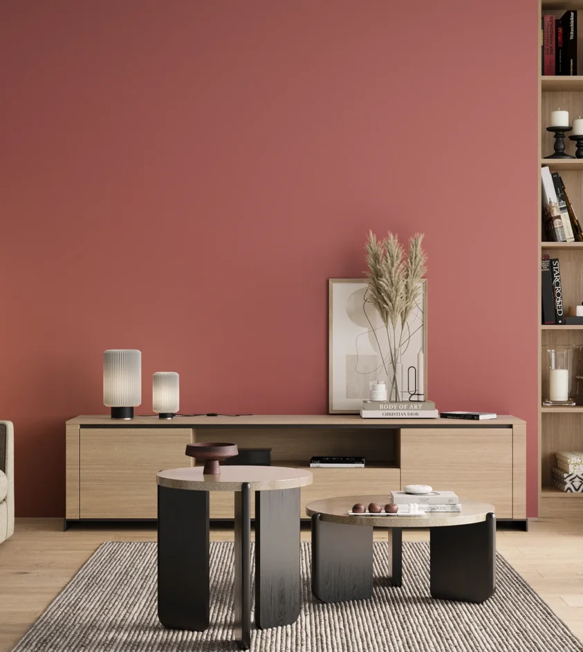 P10_SNIEZKA_salon_00_neutral_GREY_RAL3014