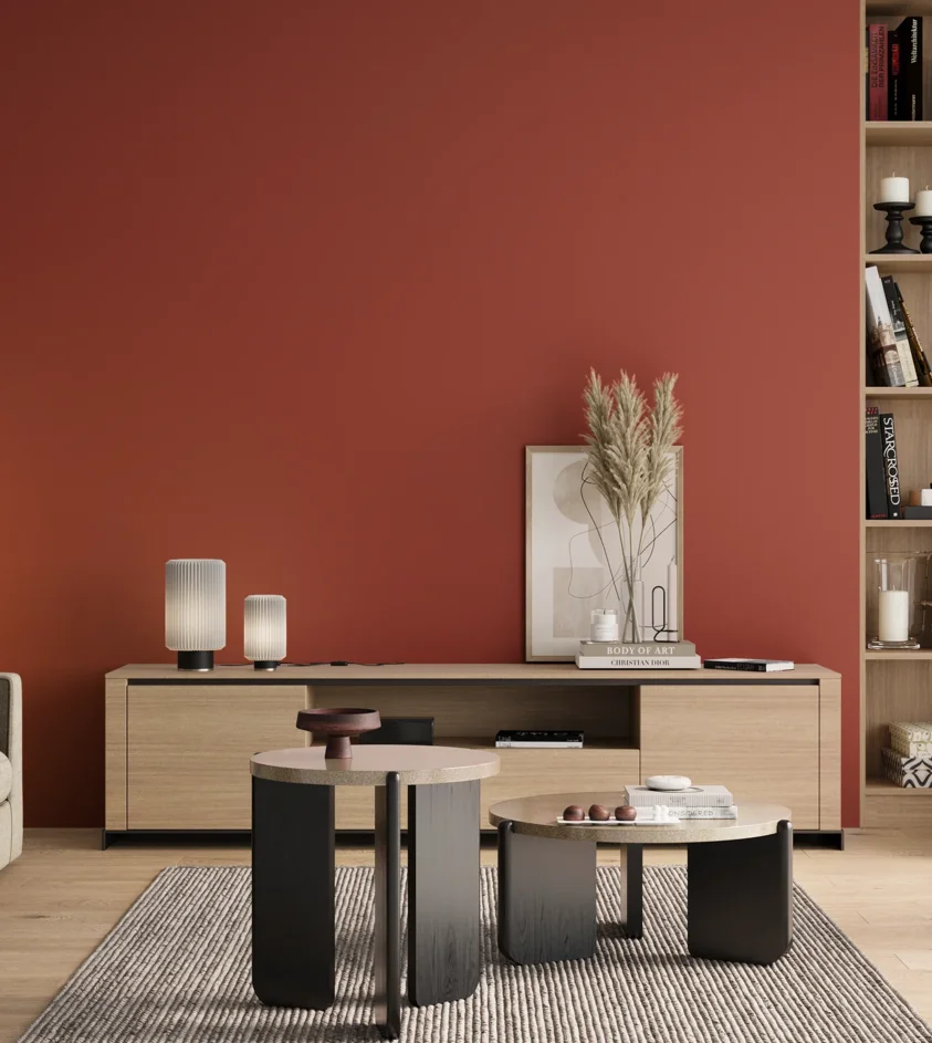 P10_SNIEZKA_salon_00_neutral_GREY_RAL3016