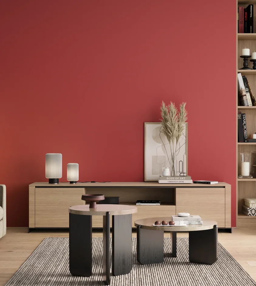 P10_SNIEZKA_salon_00_neutral_GREY_RAL3018