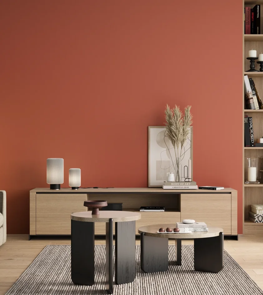 P10_SNIEZKA_salon_00_neutral_GREY_RAL3022