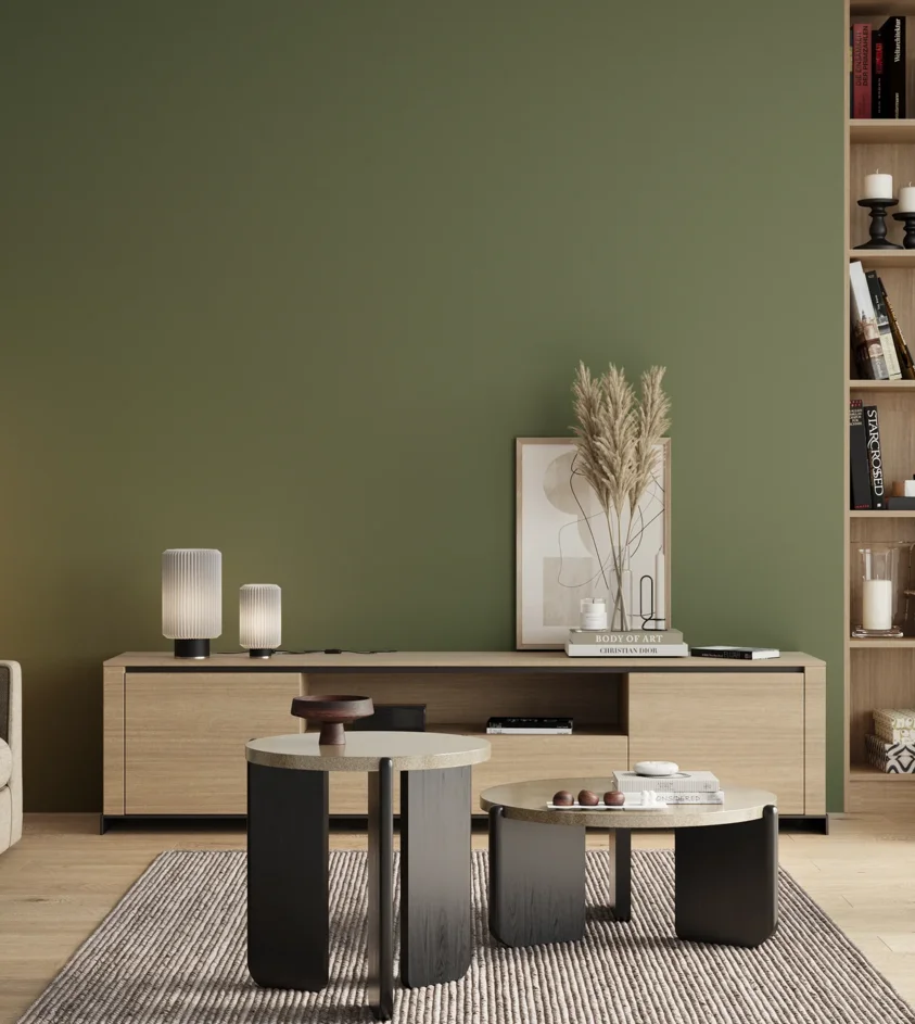 P10_SNIEZKA_salon_00_neutral_GREY_RAL6011