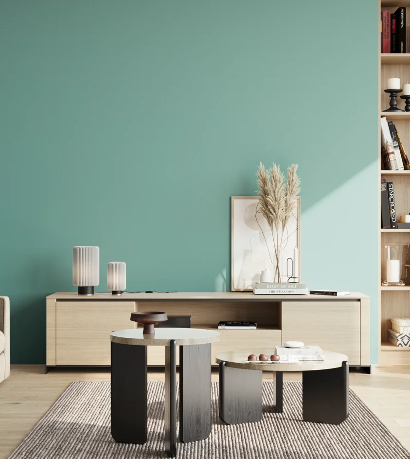 P10_SNIEZKA_salon_02_poludnie_GREY_RAL6027