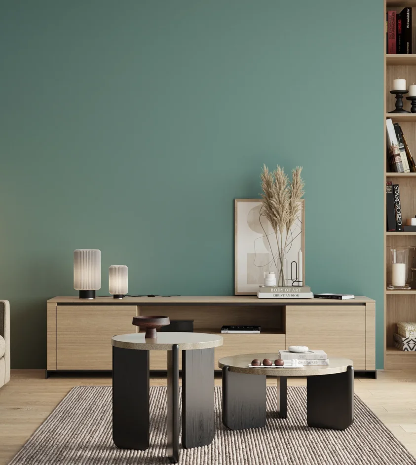 P10_SNIEZKA_salon_00_neutral_GREY_RAL6034