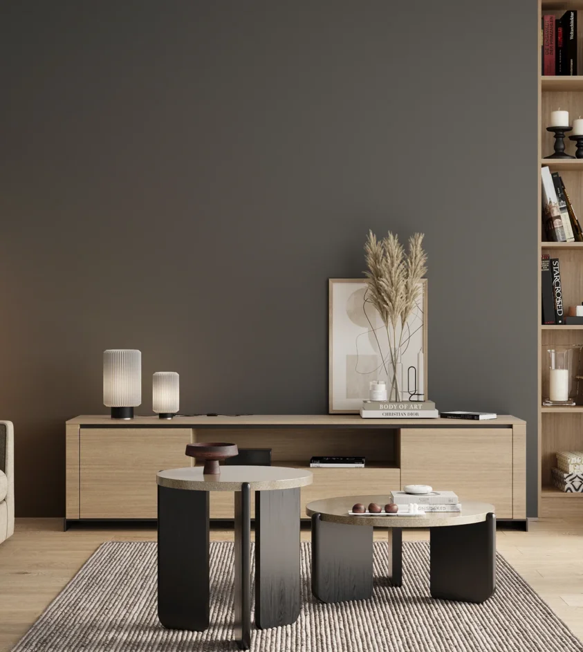 P10_SNIEZKA_salon_00_neutral_GREY_RAL7011