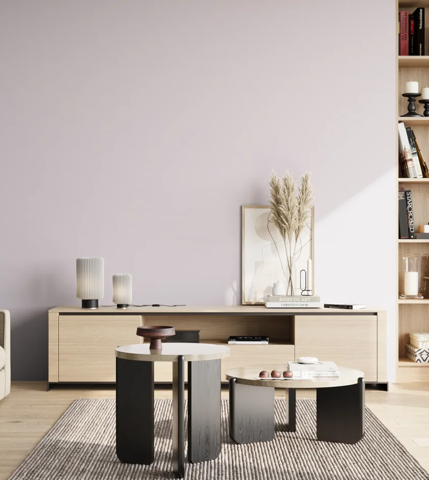 P10_SNIEZKA_salon_02_poludnie_GREY_S0510-R50B