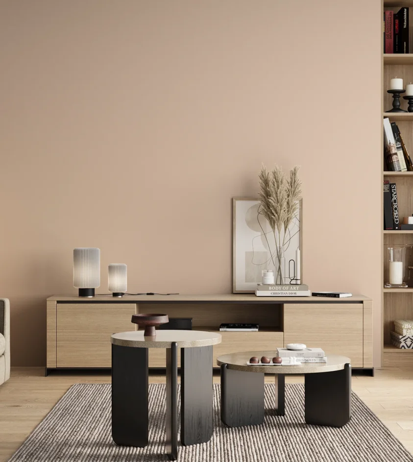 P10_SNIEZKA_salon_00_neutral_GREY_S0510-Y60R
