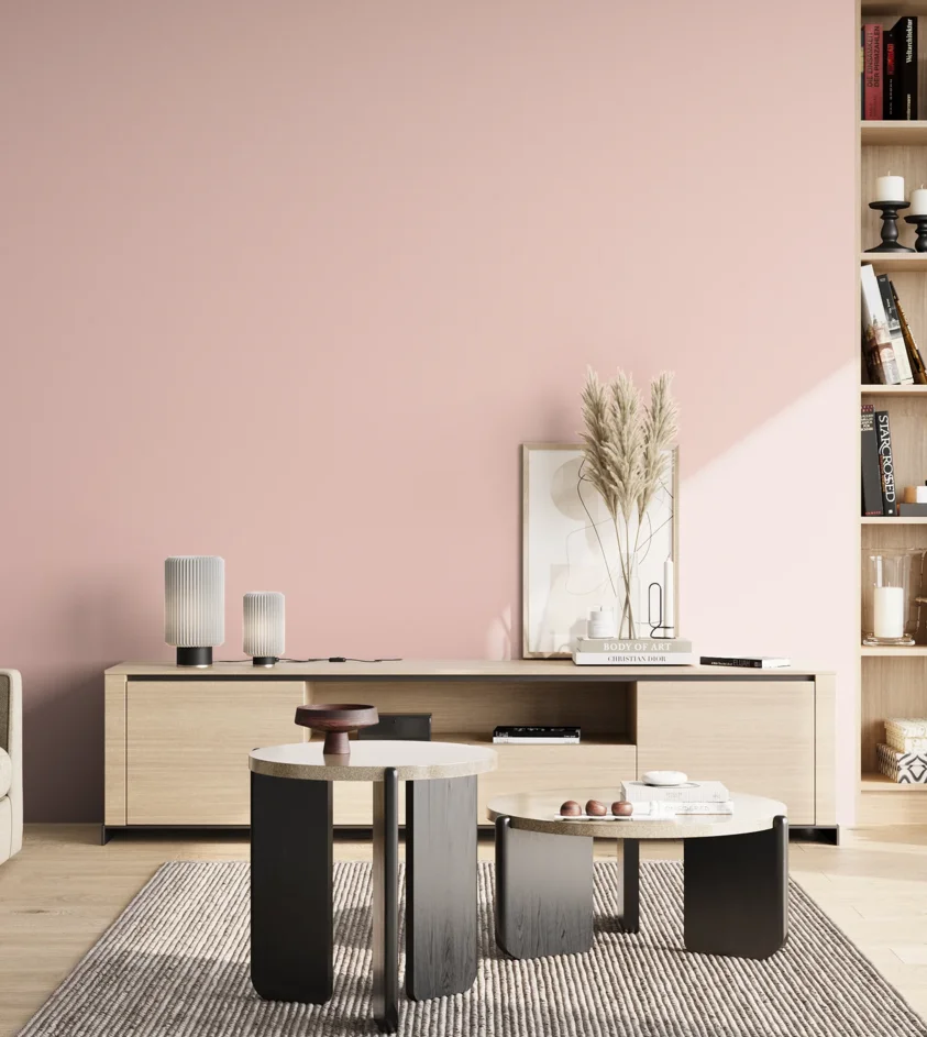 P10_SNIEZKA_salon_02_poludnie_GREY_S0515-R