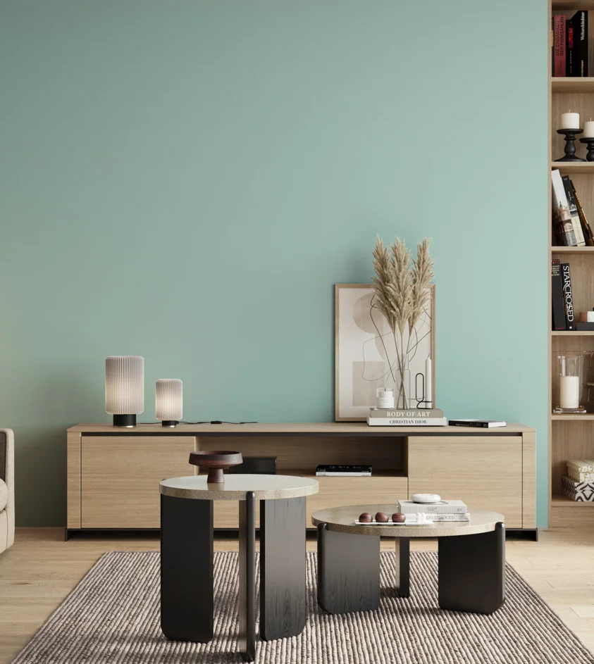 P10_SNIEZKA_salon_00_neutral_GREY_S0520-B50G