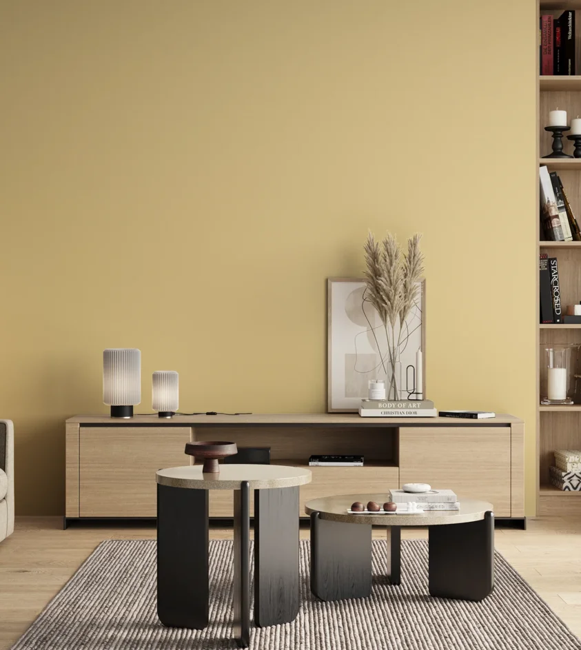 P10_SNIEZKA_salon_00_neutral_GREY_S0520-Y10R