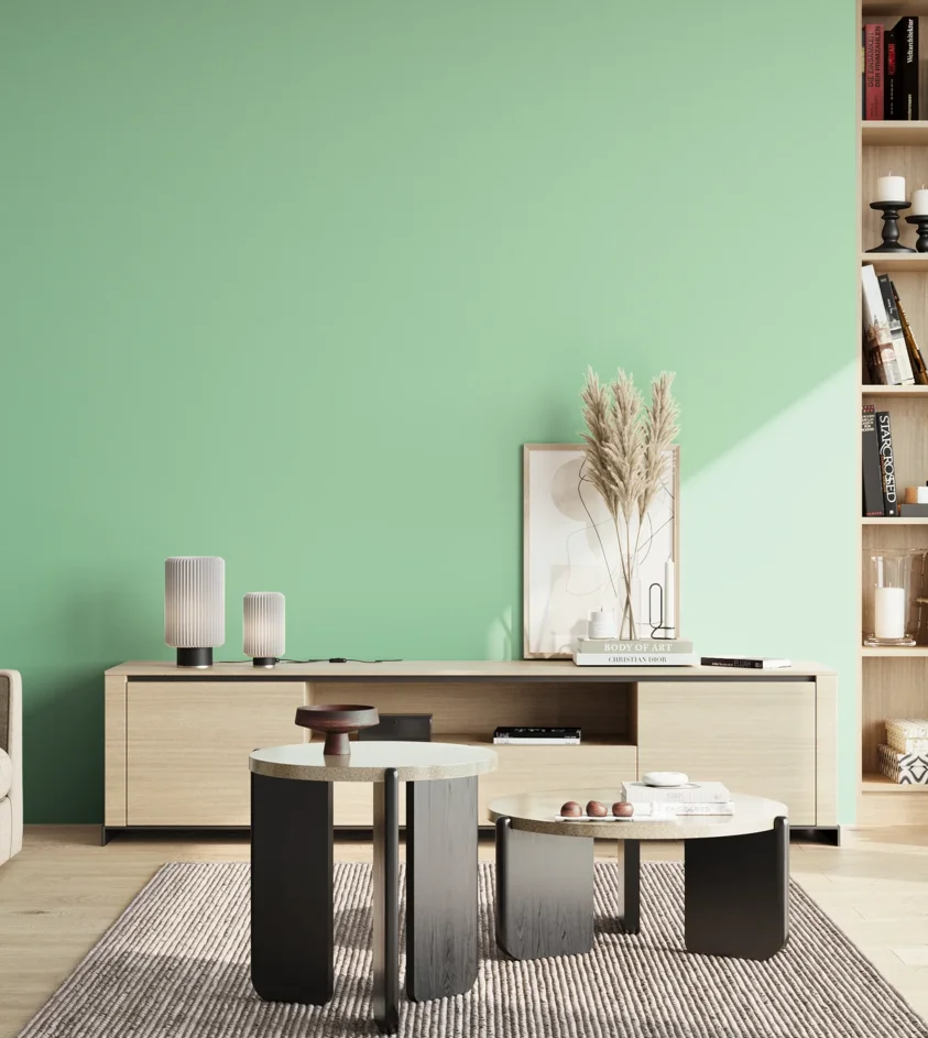 P10_SNIEZKA_salon_02_poludnie_GREY_S0530-G