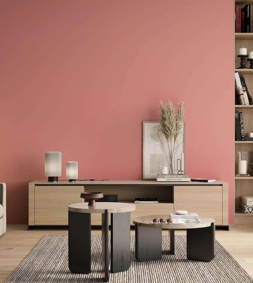 P10_SNIEZKA_salon_00_neutral_GREY_S0540-R