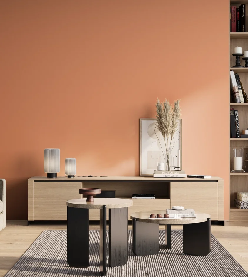 P10_SNIEZKA_salon_01_poranek_GREY_S0540-Y60R