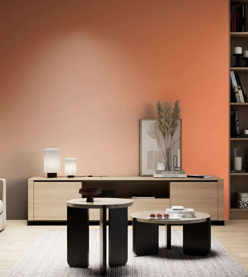 P10_SNIEZKA_salon_05_zimne_GREY_S0560-Y60R