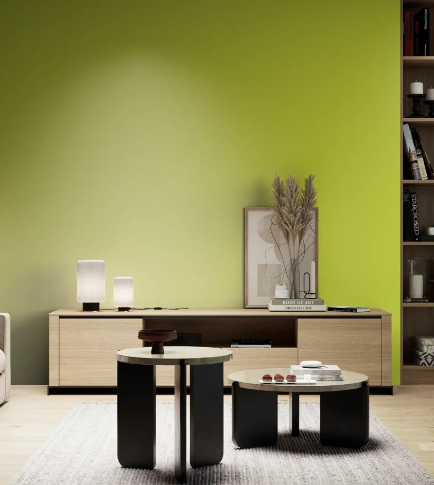 P10_SNIEZKA_salon_05_zimne_GREY_S0570-G60Y