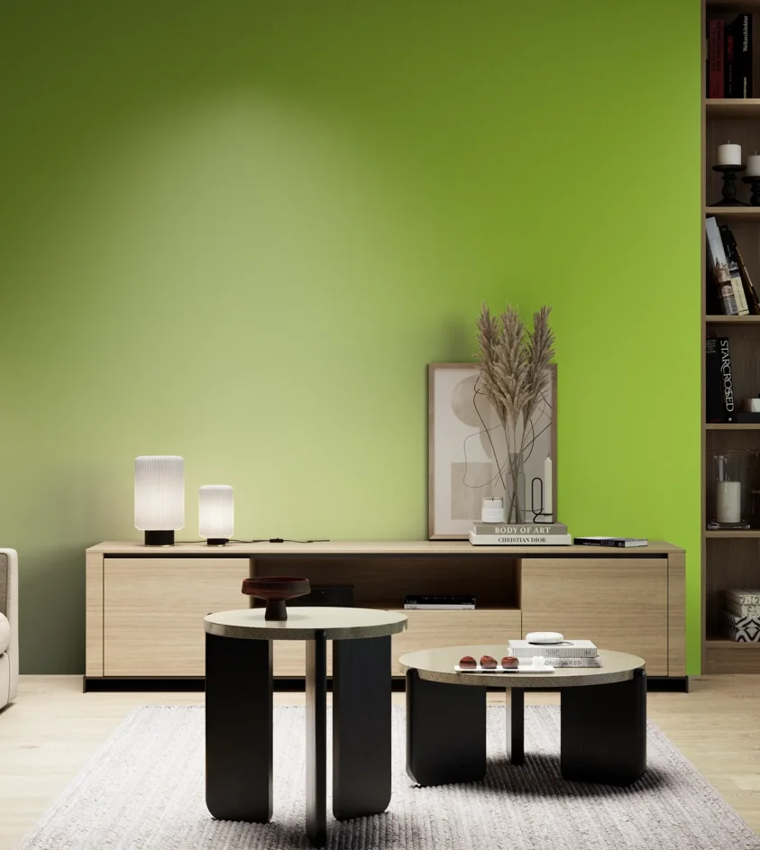 P10_SNIEZKA_salon_05_zimne_GREY_S0575-G40Y